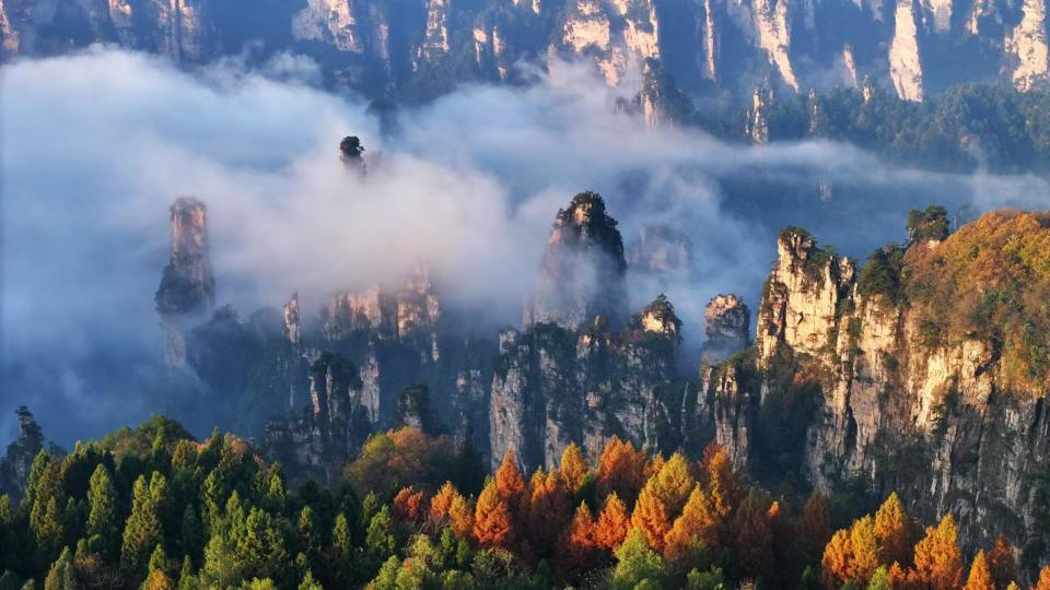张家界12月旅游_张家界12月旅游人数