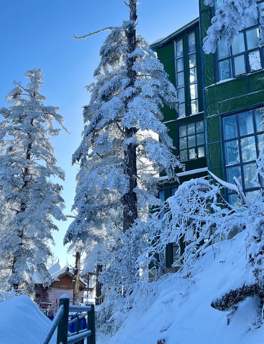 瓦屋山旅游_瓦屋山旅游最佳时间