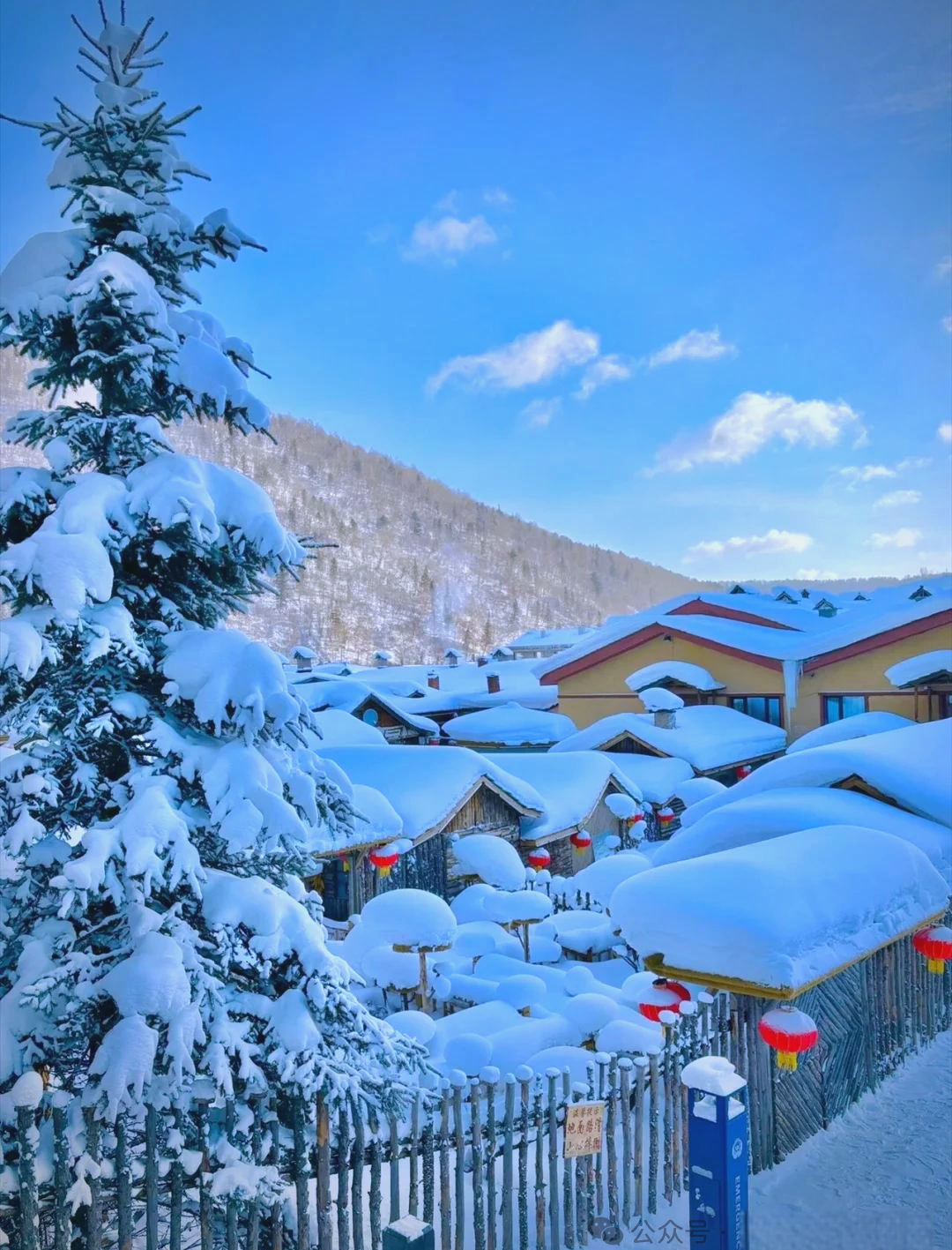 雪乡旅游_雪乡旅游注意事项