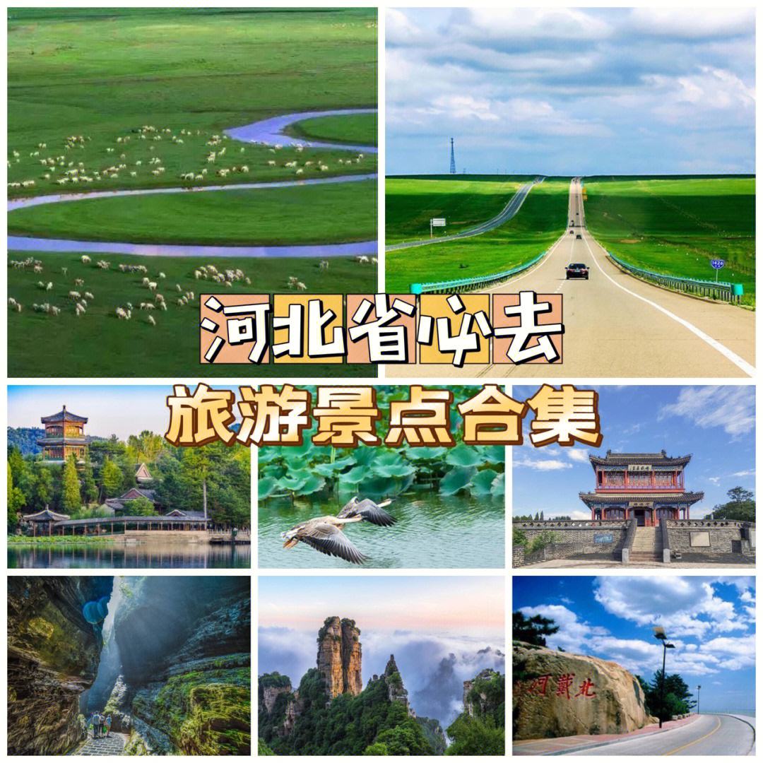 河北省旅游网_河北旅游监管平台