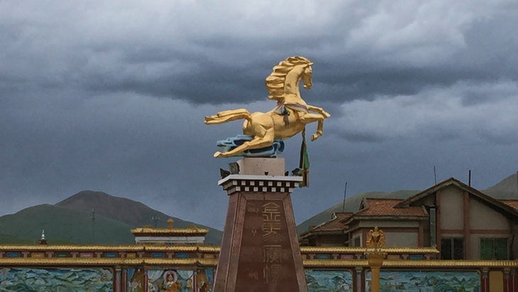 金马旅游官网_金马旅游官网下载