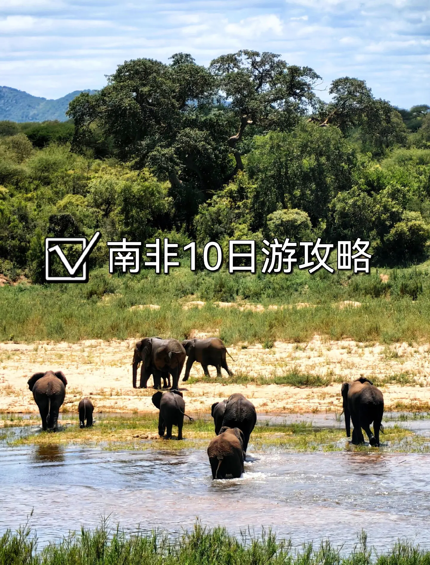 南非旅游购物_南非购物最值得购买的