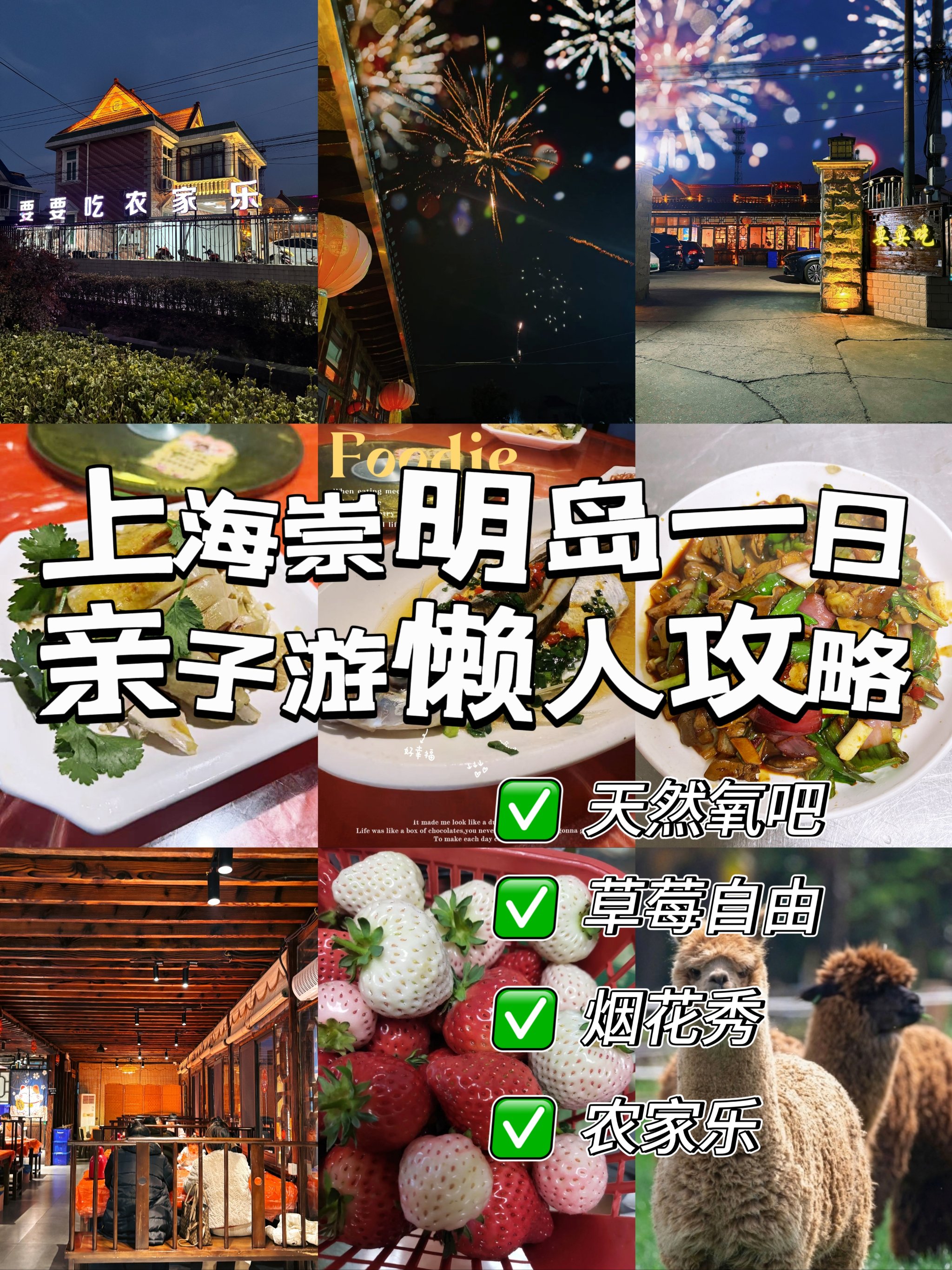 崇明岛旅游攻略_崇明岛旅游攻略景点必去东滩好还是西沙好