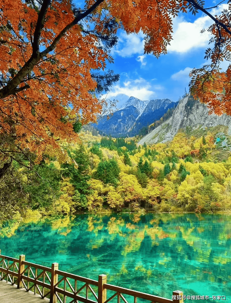 四川九寨沟旅游_四川九寨沟旅游景点介绍