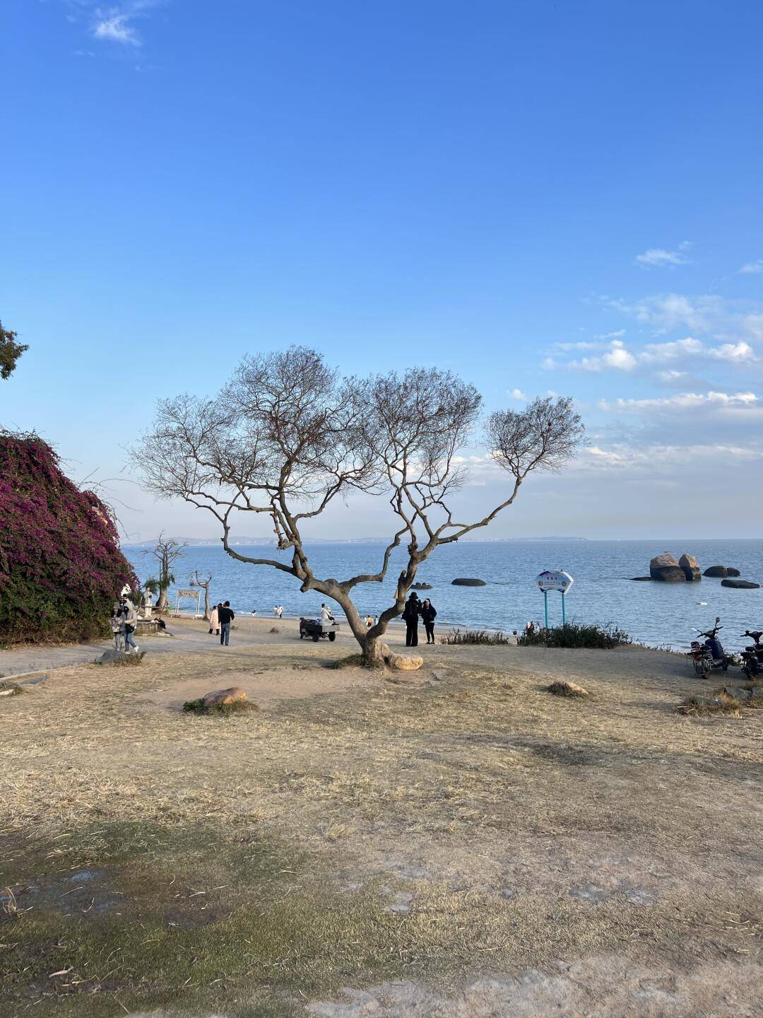 厦门岛内旅游景点_厦门岛内的旅游景点