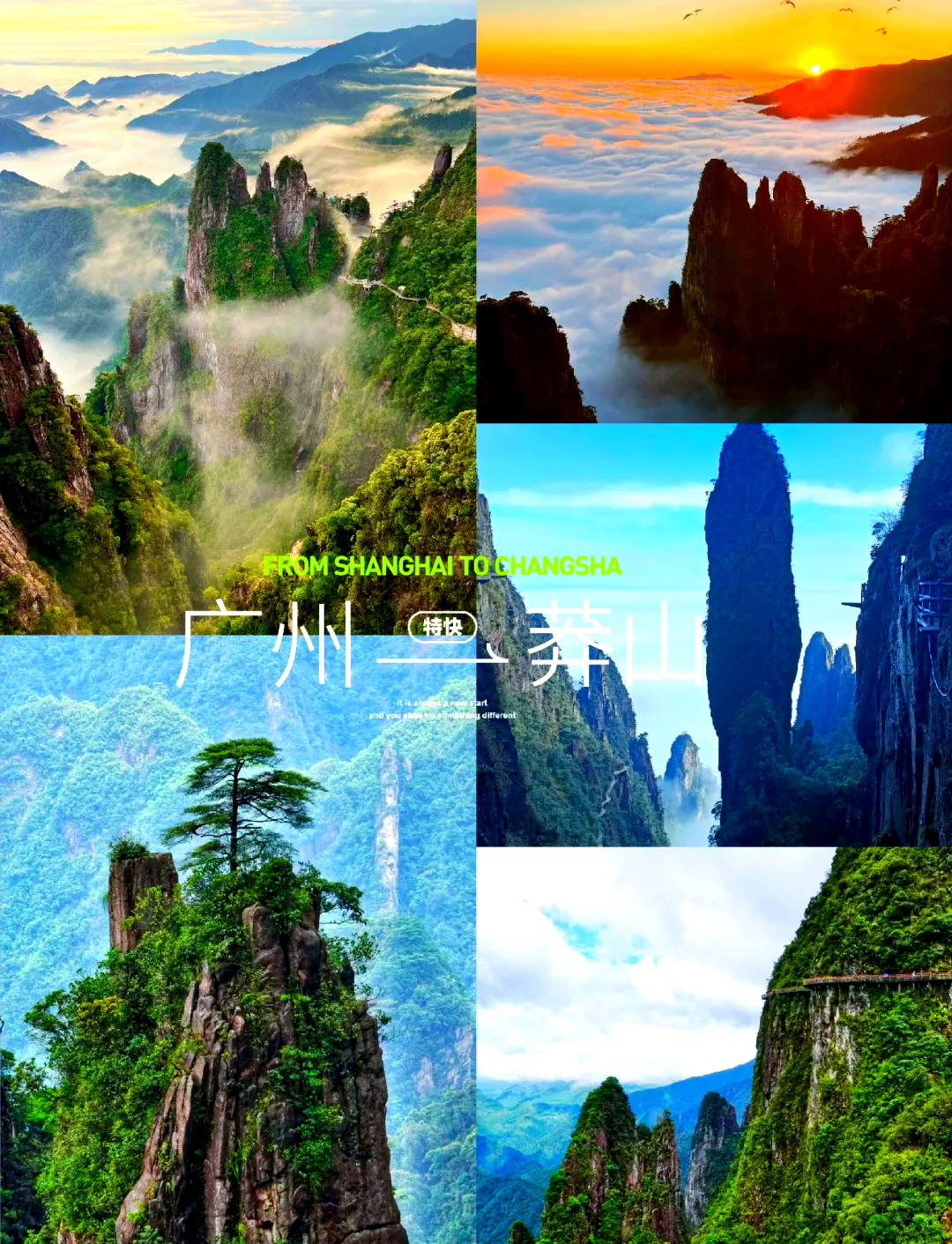 莽山旅游_莽山旅游景点介绍