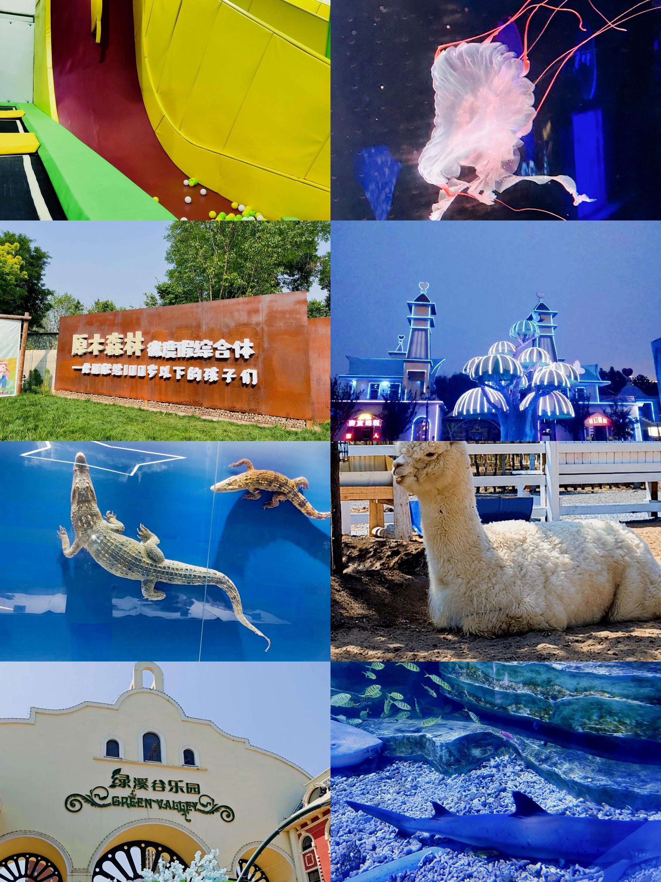 保定市旅游景点_保定市旅游景点分布图
