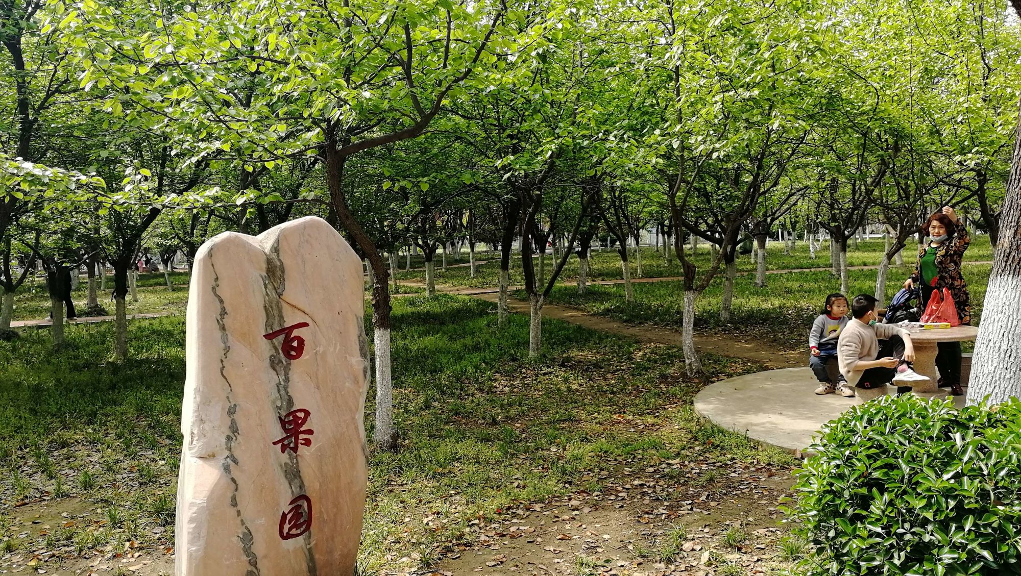 鄢陵旅游_鄢陵旅游团报名一日游