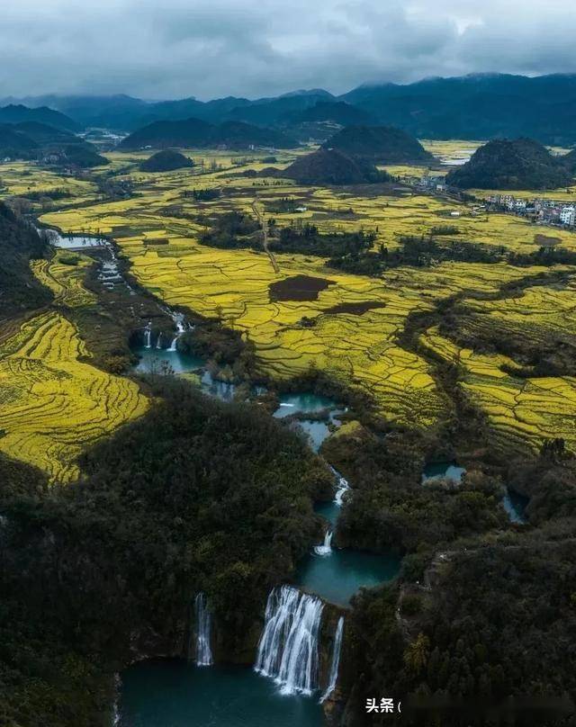 云南罗平油菜花旅游_云南罗平油菜花旅游攻略