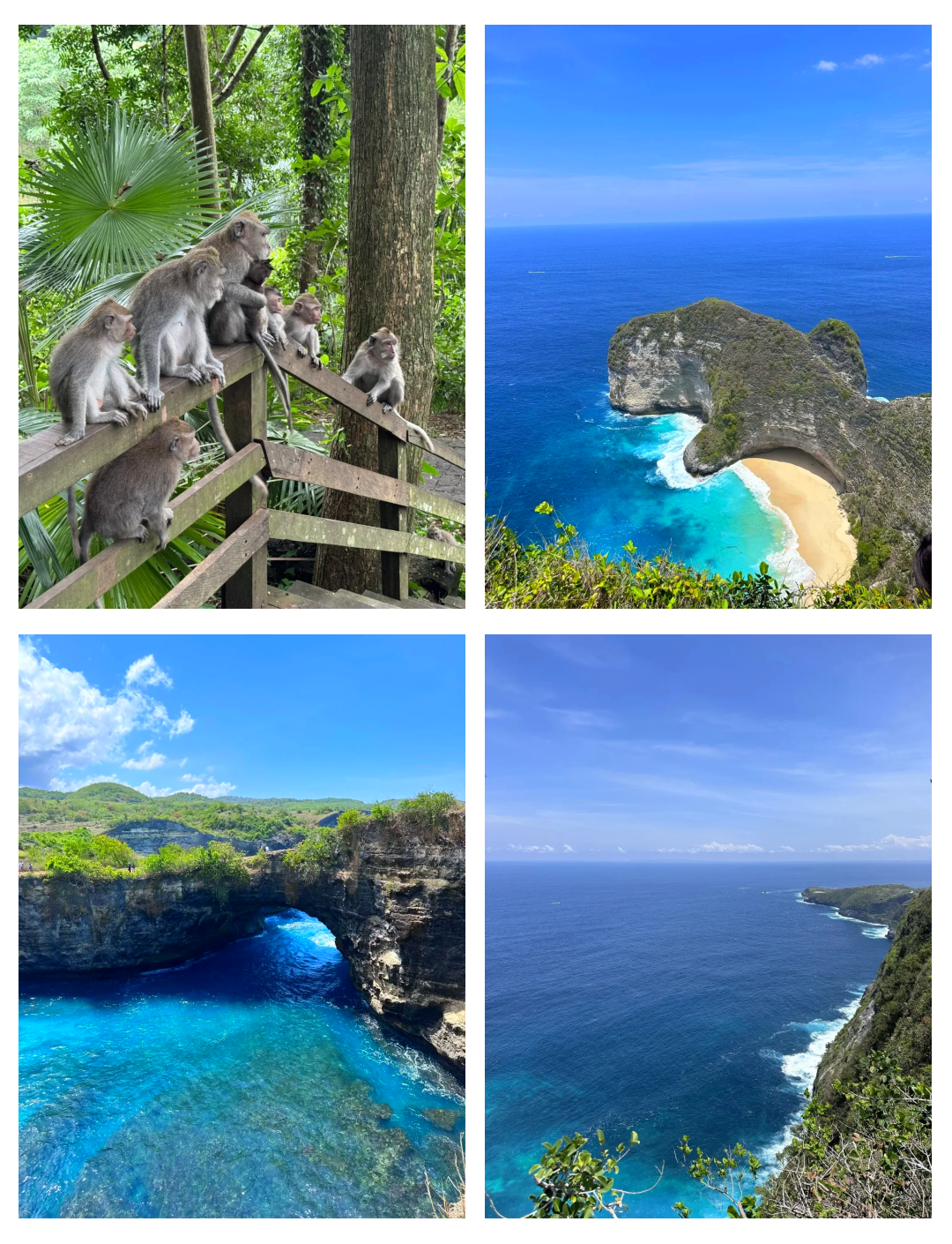 巴厘岛旅游_巴厘岛旅游攻略