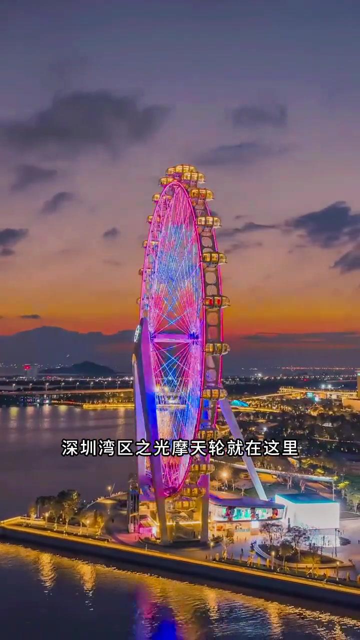 深圳旅游网_深圳旅游网络运营总监的任职背景与经历与荣誉奖项