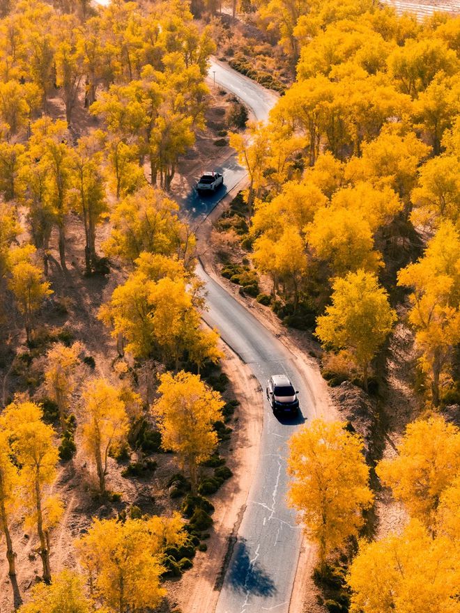 10月份适合去哪里旅游_10月份适合去哪里旅游重庆出发
