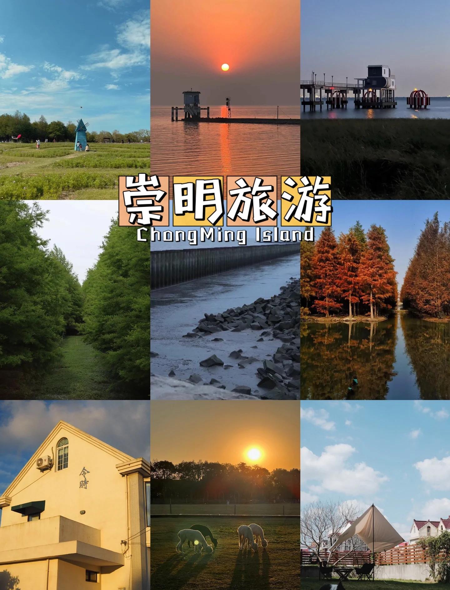 崇明岛旅游攻略_崇明岛旅游攻略景点必去小孩玩的地方