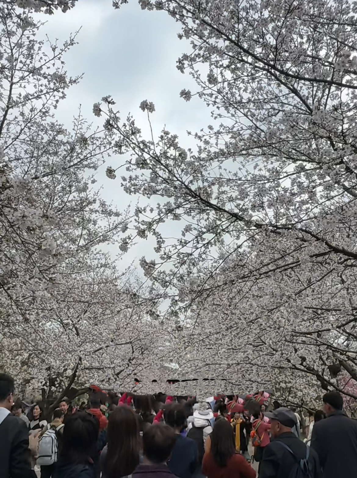 5月份适合去哪里旅游_国内5月份适合去哪里旅游