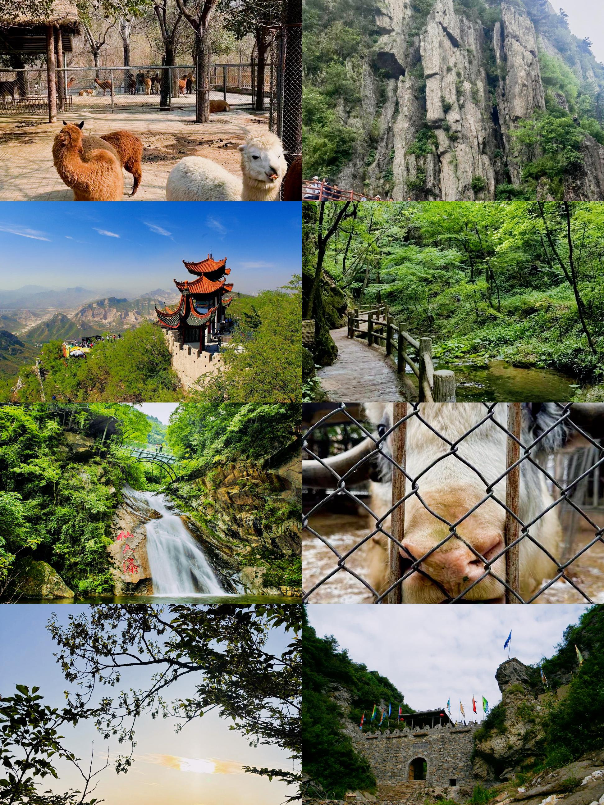 洛阳旅游景点大全_洛阳旅游景点大全景点排名榜自驾游西安
