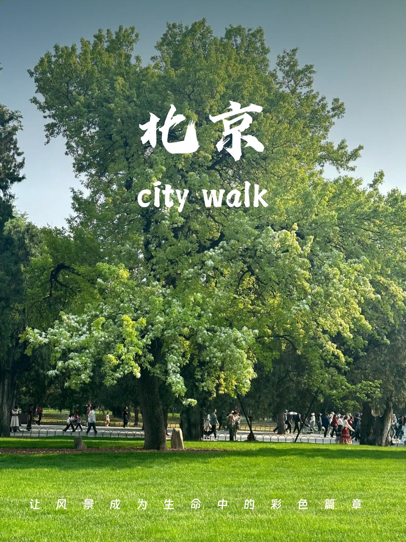 北京郊区旅游网_北京郊区旅游线路最佳方案