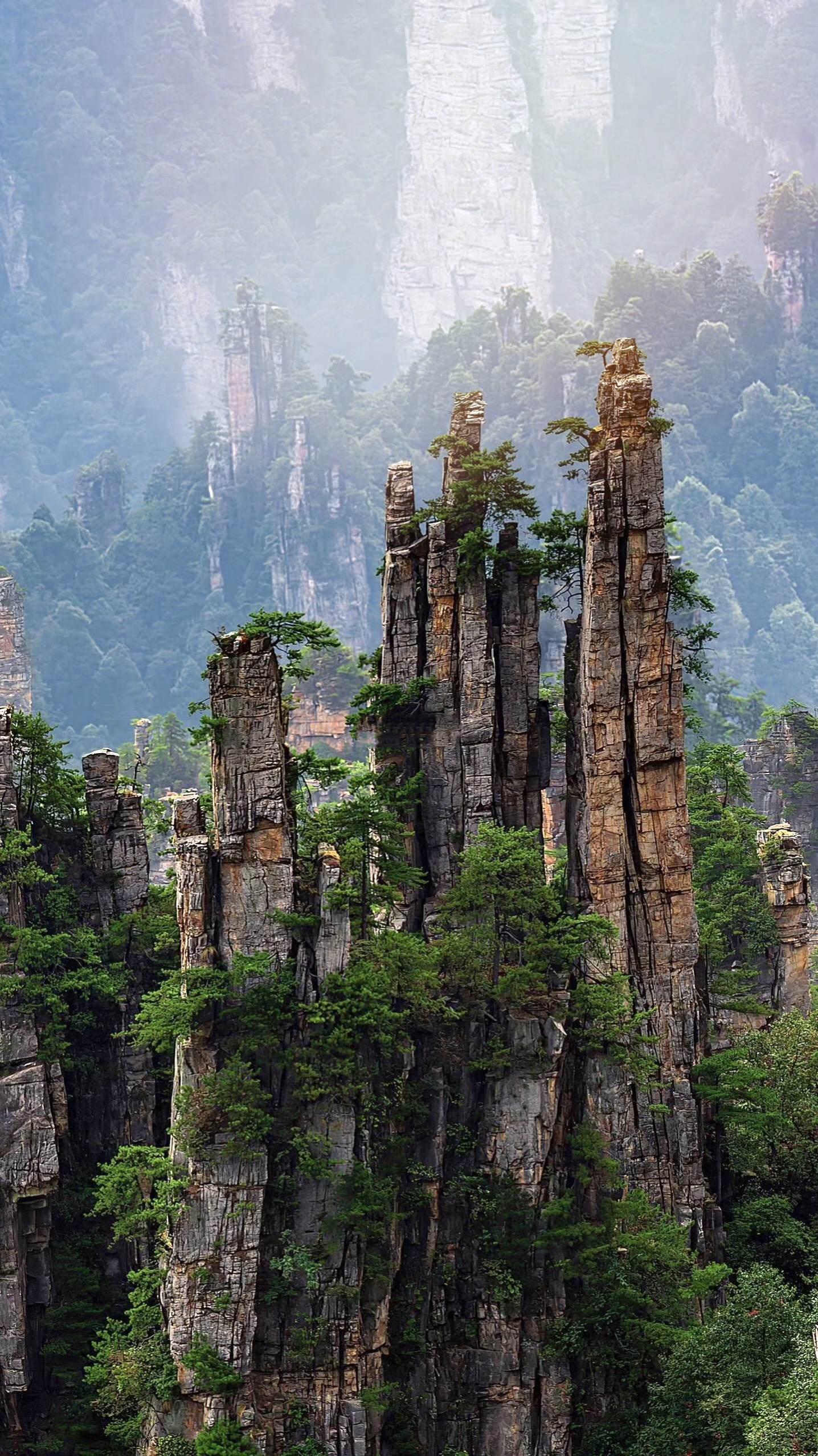 张家界旅游哪里好_张家界旅游哪里好玩