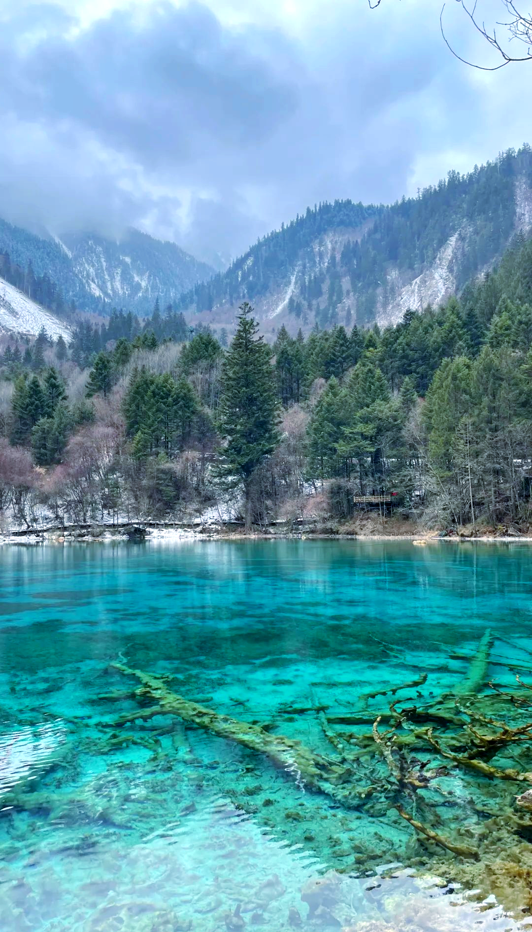 九寨沟旅游网_九寨沟旅游网上订票