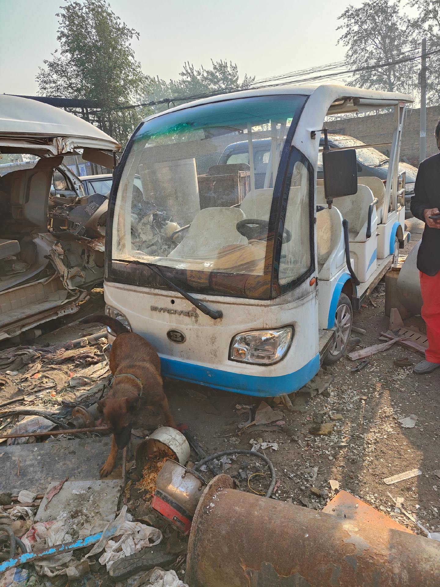 二手旅游观光车_二手旅游观光车燃油车