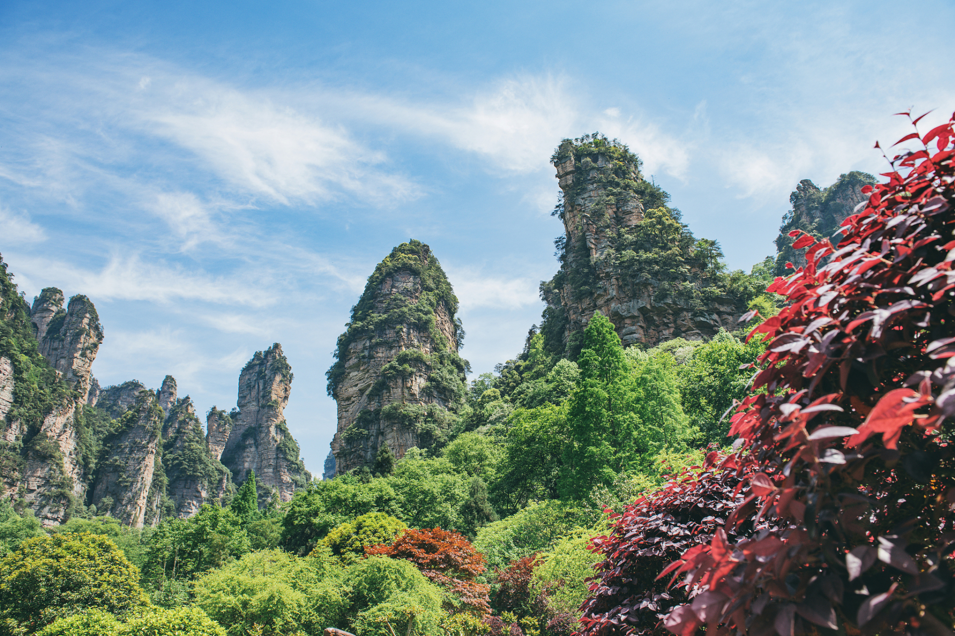 3月份去哪旅游好_3月份去哪里旅游比较好