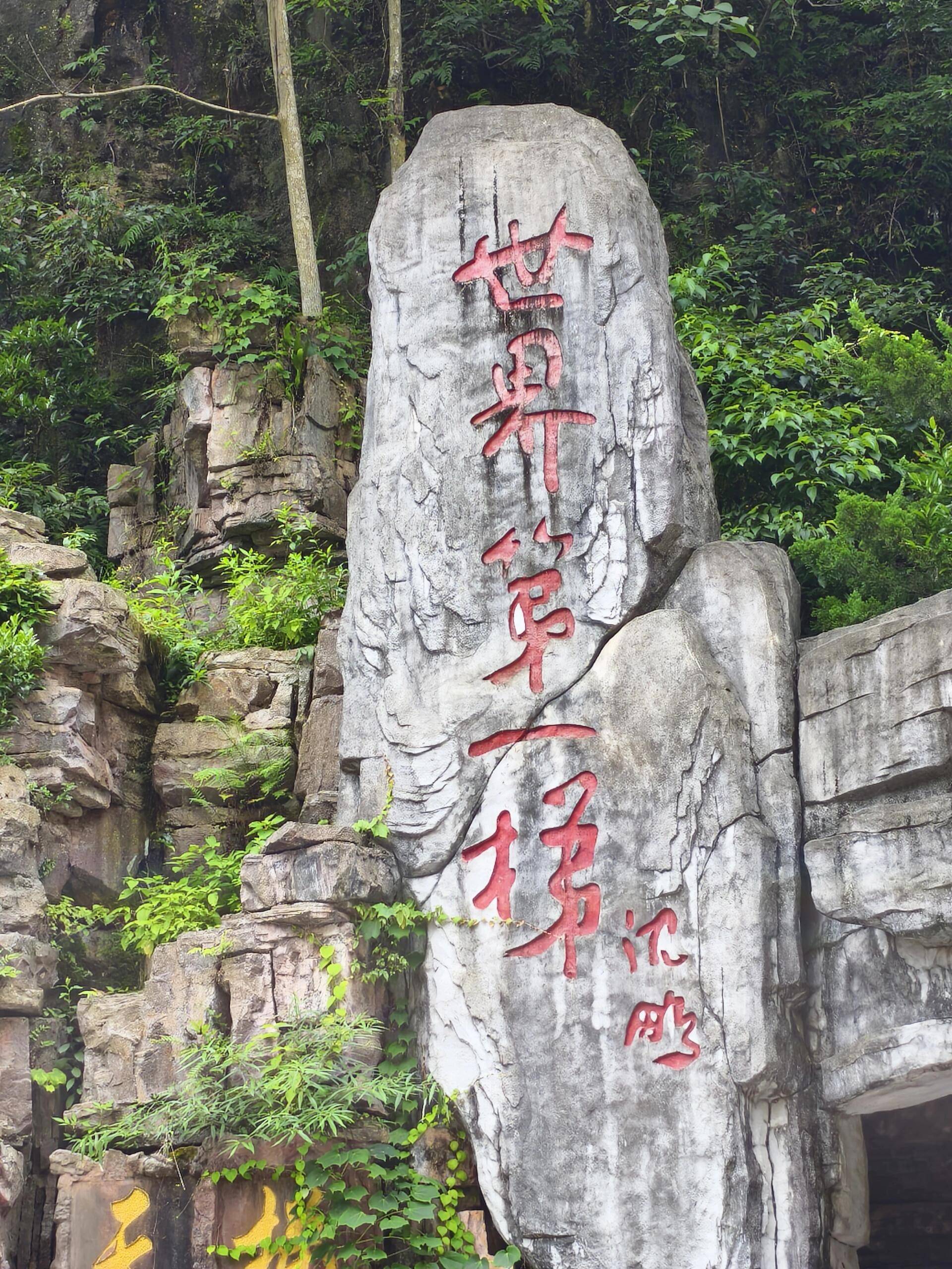 张家界旅游公司_张家界旅游公司亏损多少