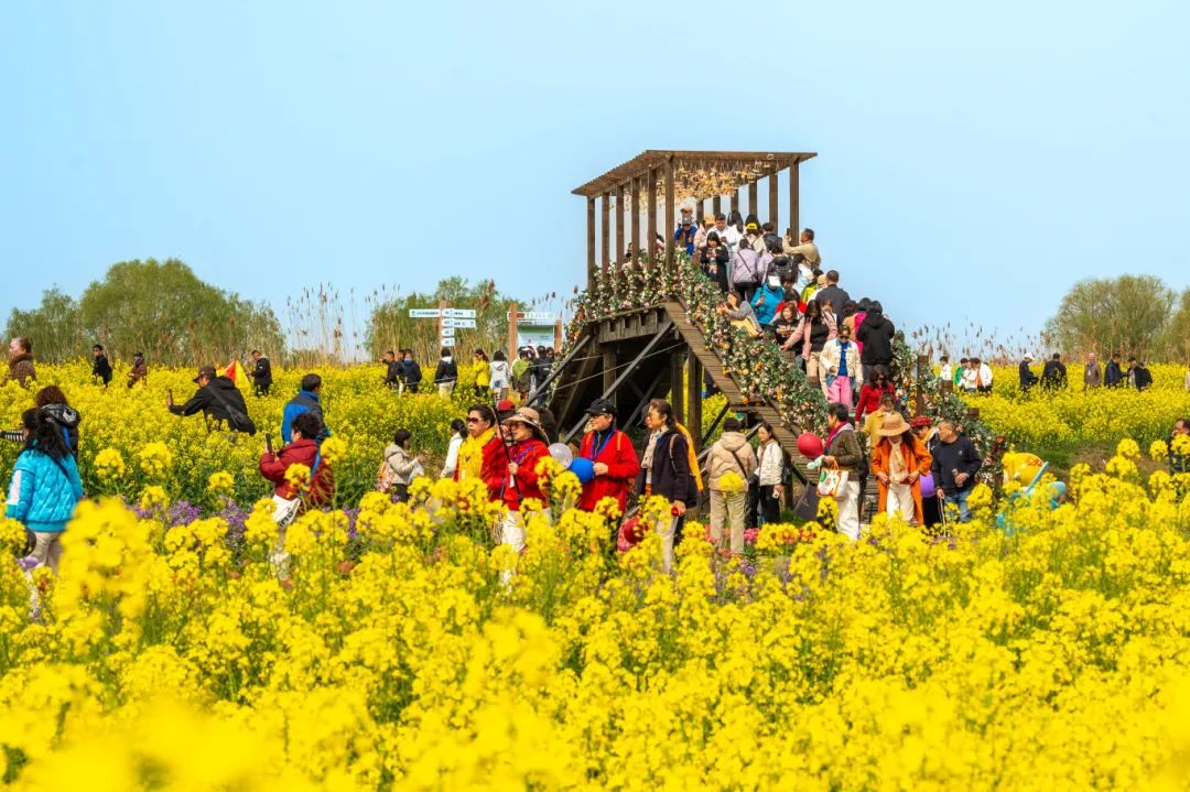 扬州旅游团_扬州旅游团推荐