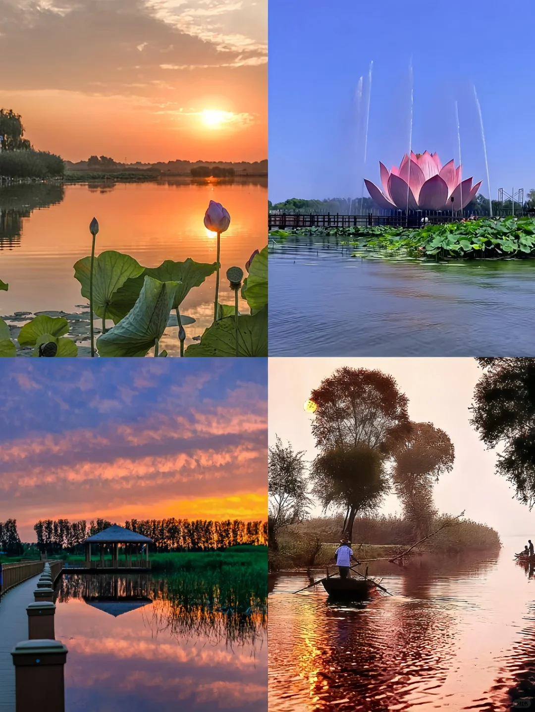 白洋淀旅游攻略_北京去白洋淀旅游攻略