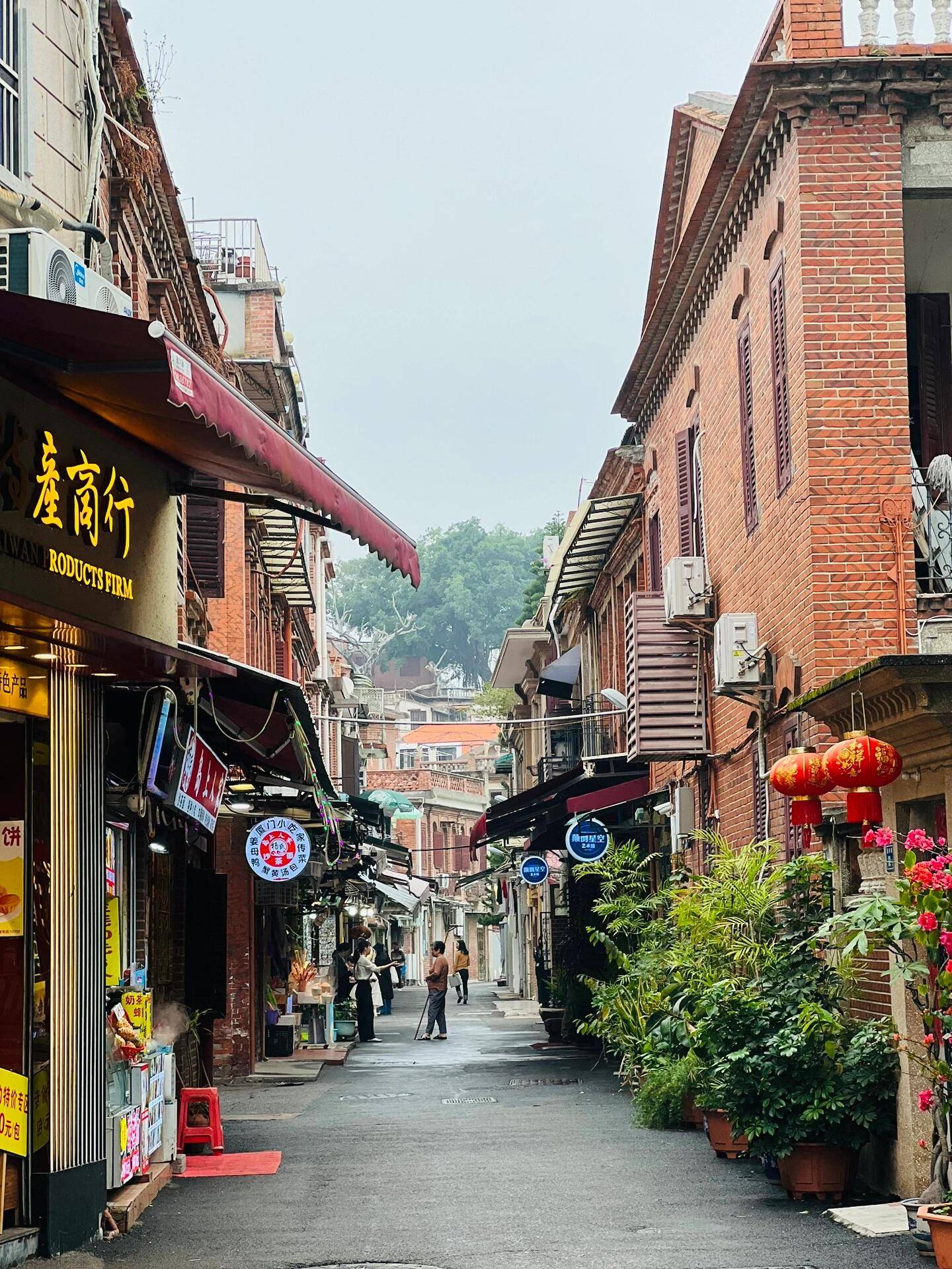 厦门旅游摄影_厦门摄影打卡地