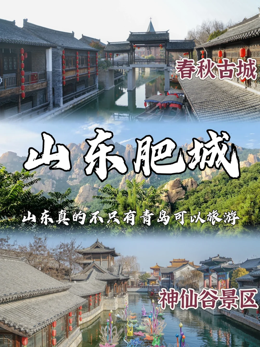 山东旅游政务网_山东旅游政务网官网如何查询导游资格证号