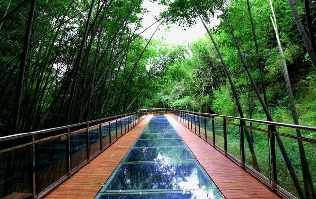 蜀南竹海旅游_蜀南竹海旅游发展有限公司