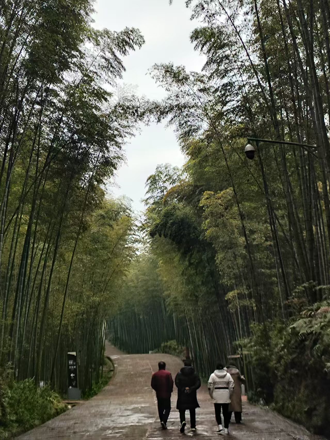 蜀南竹海旅游_蜀南竹海旅游发展有限公司