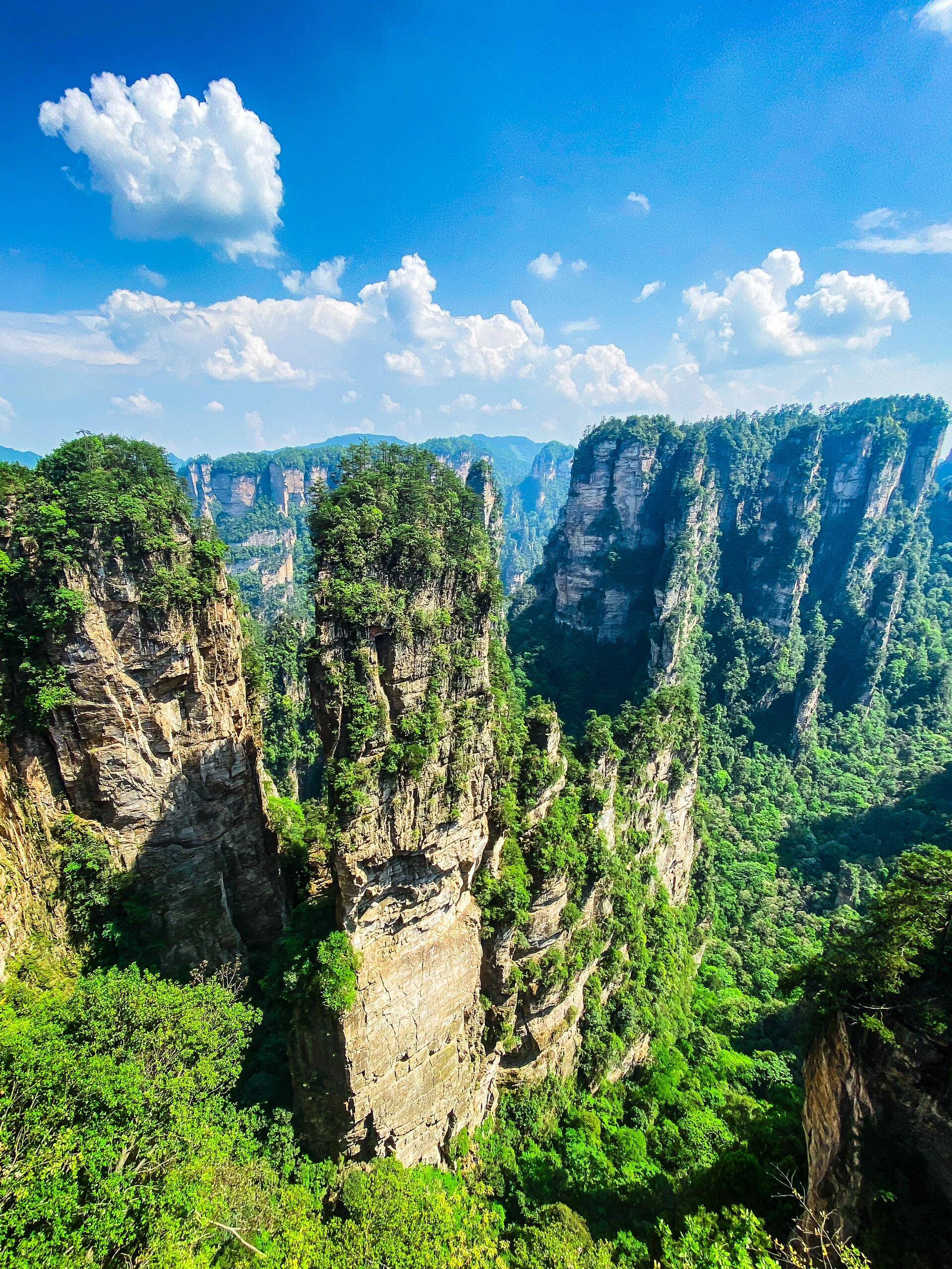 张家界旅游观光_张家界旅游观光巴士