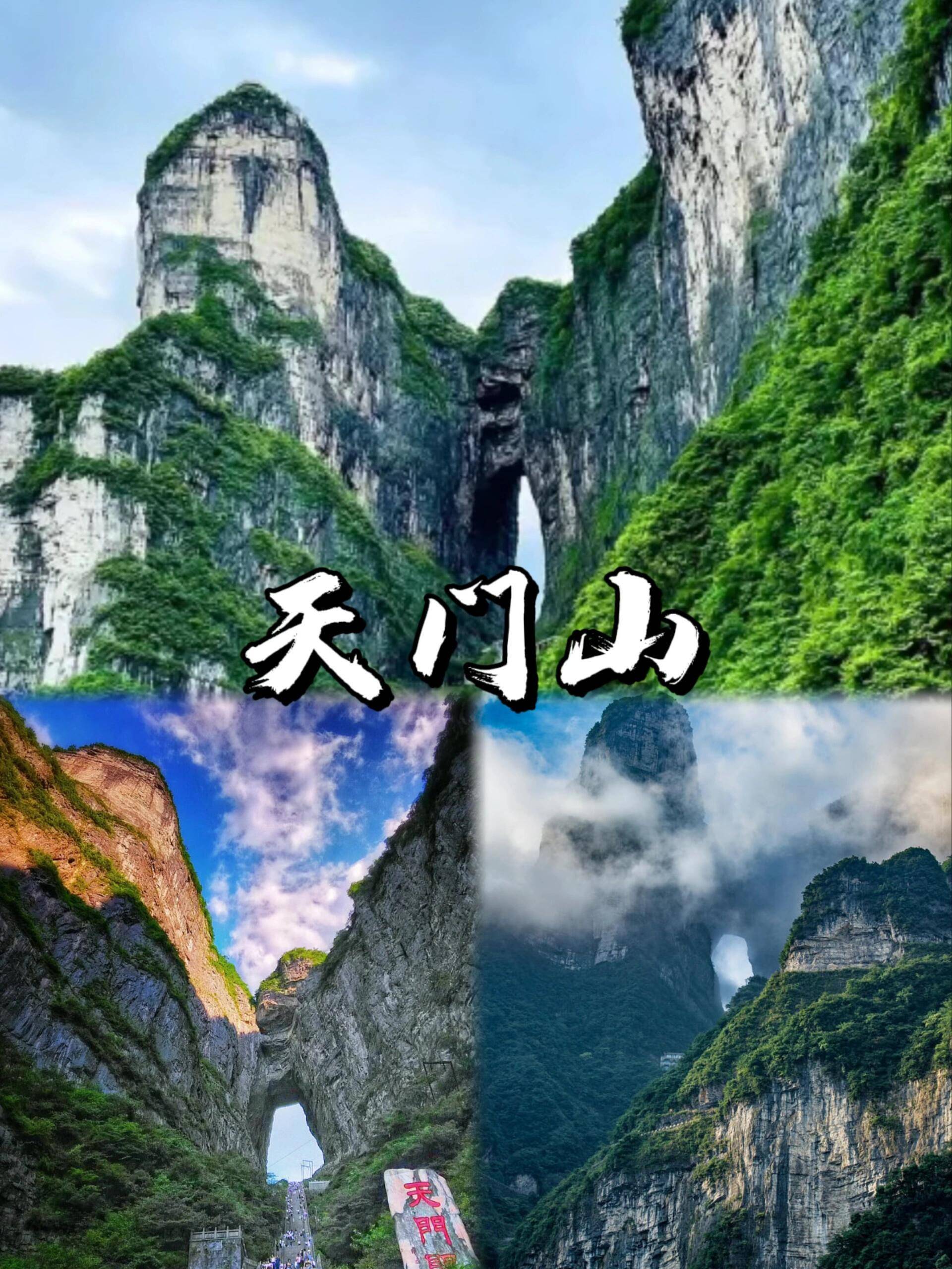 张家界旅游观光_张家界旅游观光巴士