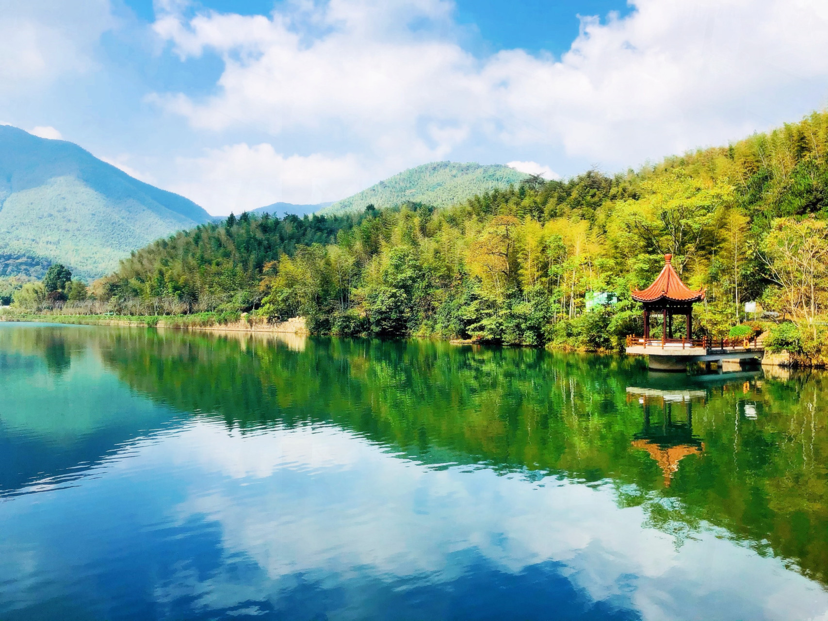 竹海旅游_竹海旅游观光车