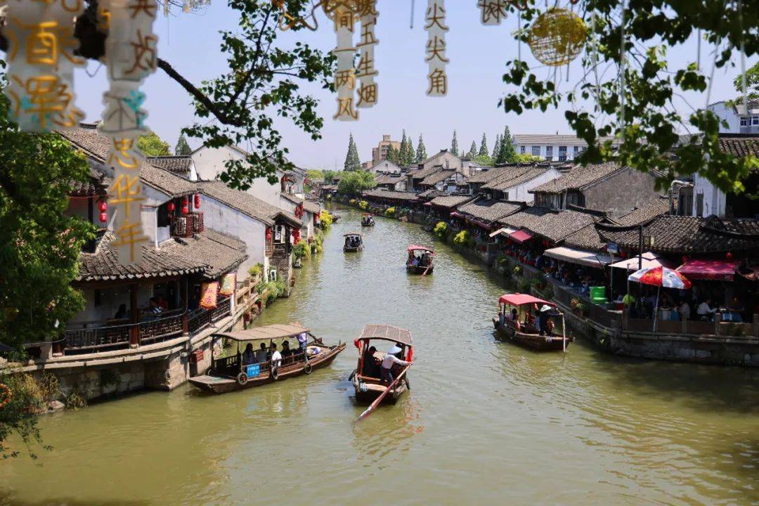 枫泾旅游_枫泾旅游公司