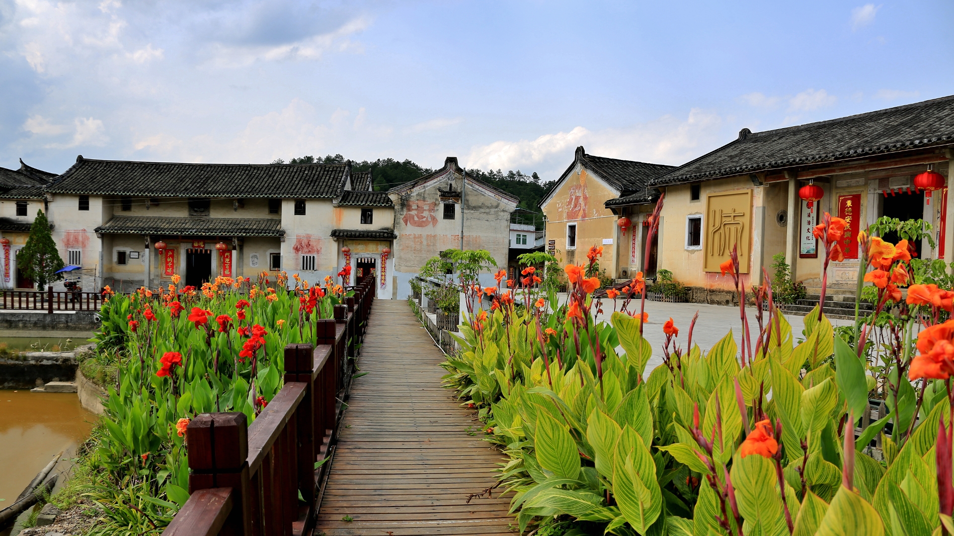 大埔旅游_大埔 旅游