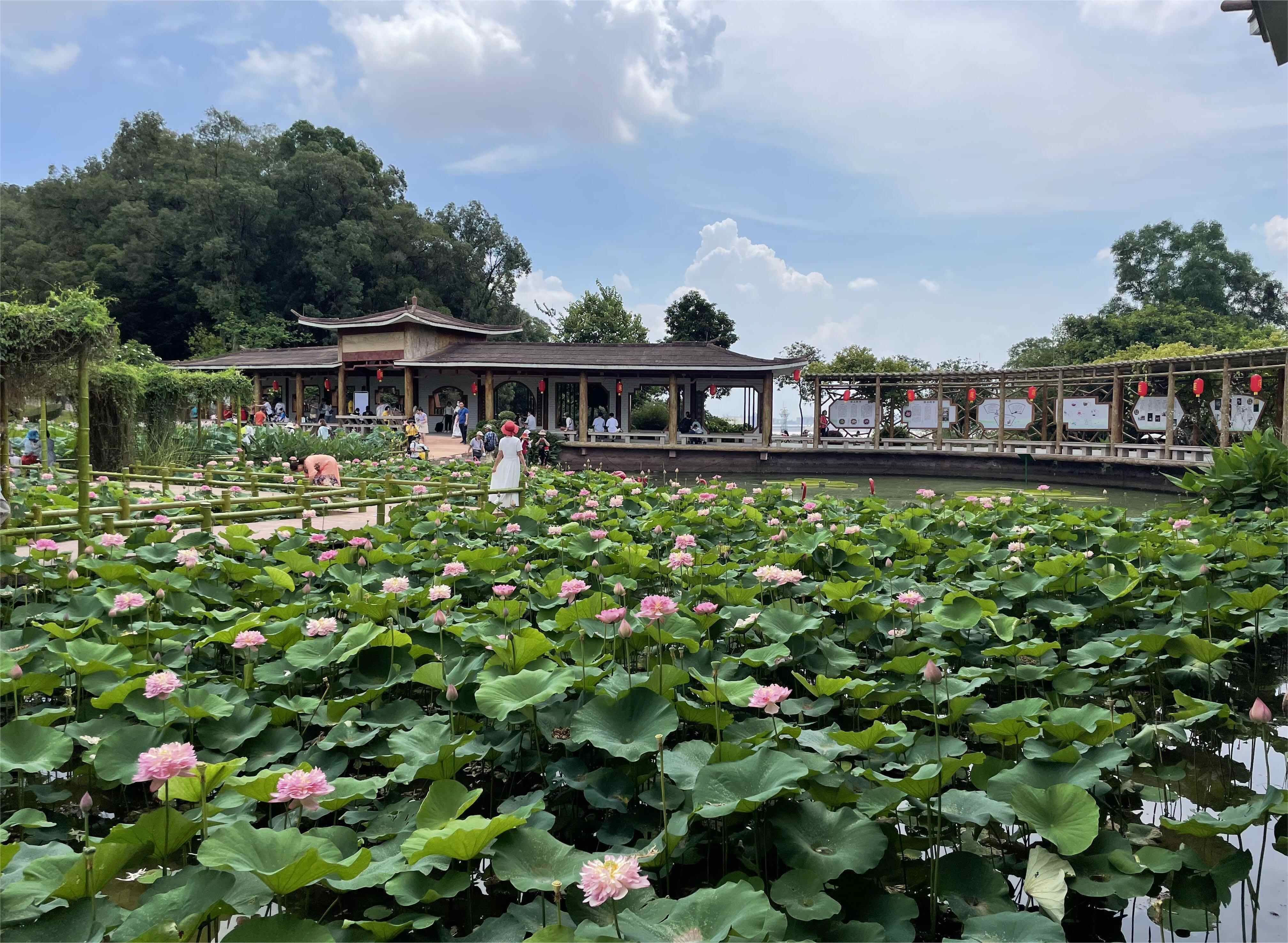 番禺旅游_番禺旅游攻略景点必去