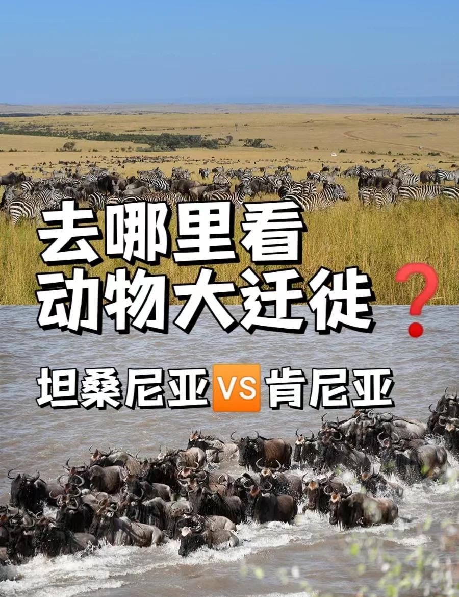 非洲旅游_非洲旅游景点排名前十