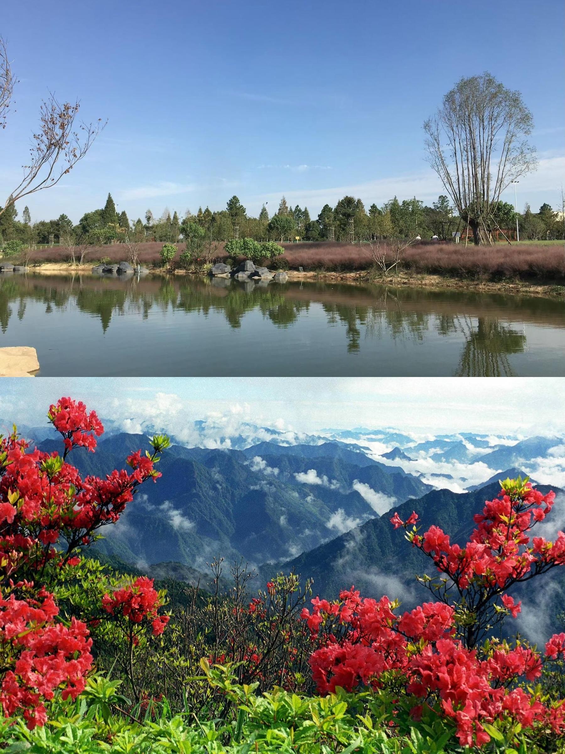 春季旅游景点推荐_春季旅游景点推荐文案