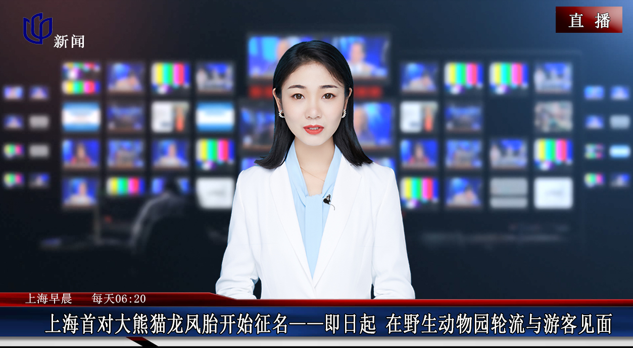 旅游卫视主持人_旅游卫视主持人杨娟
