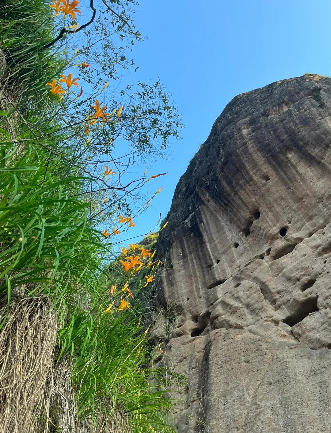 龙虎山旅游攻略_三清山龙虎山旅游攻略
