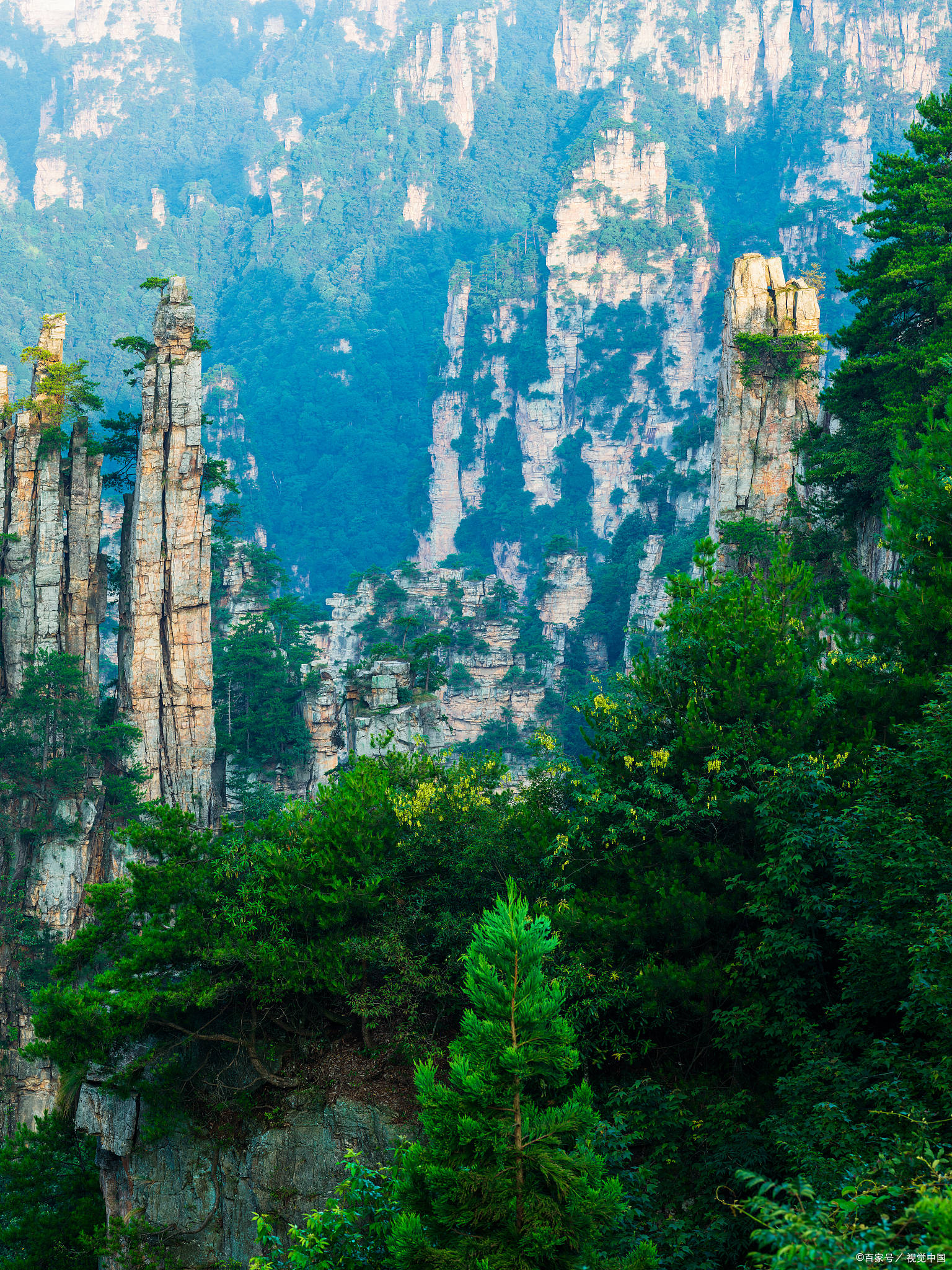 张家界旅游公司_张家界旅游公司电话号码多少