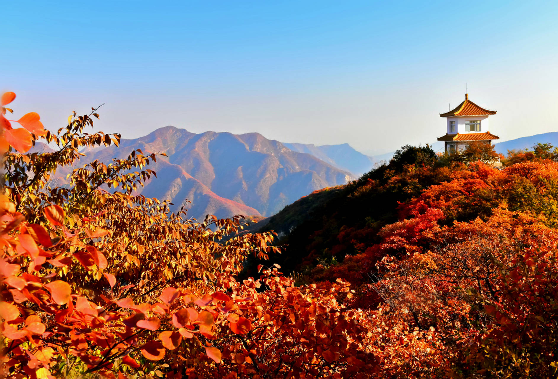 国庆去哪里旅游好_国庆去哪里旅游合适