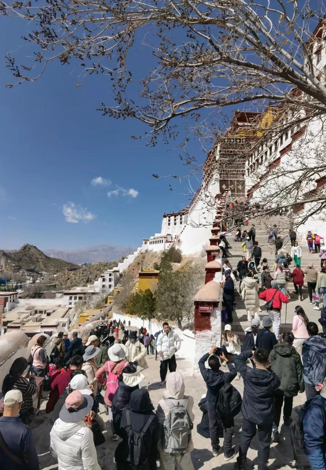 疯狂旅游团2_疯狂旅游团演员表