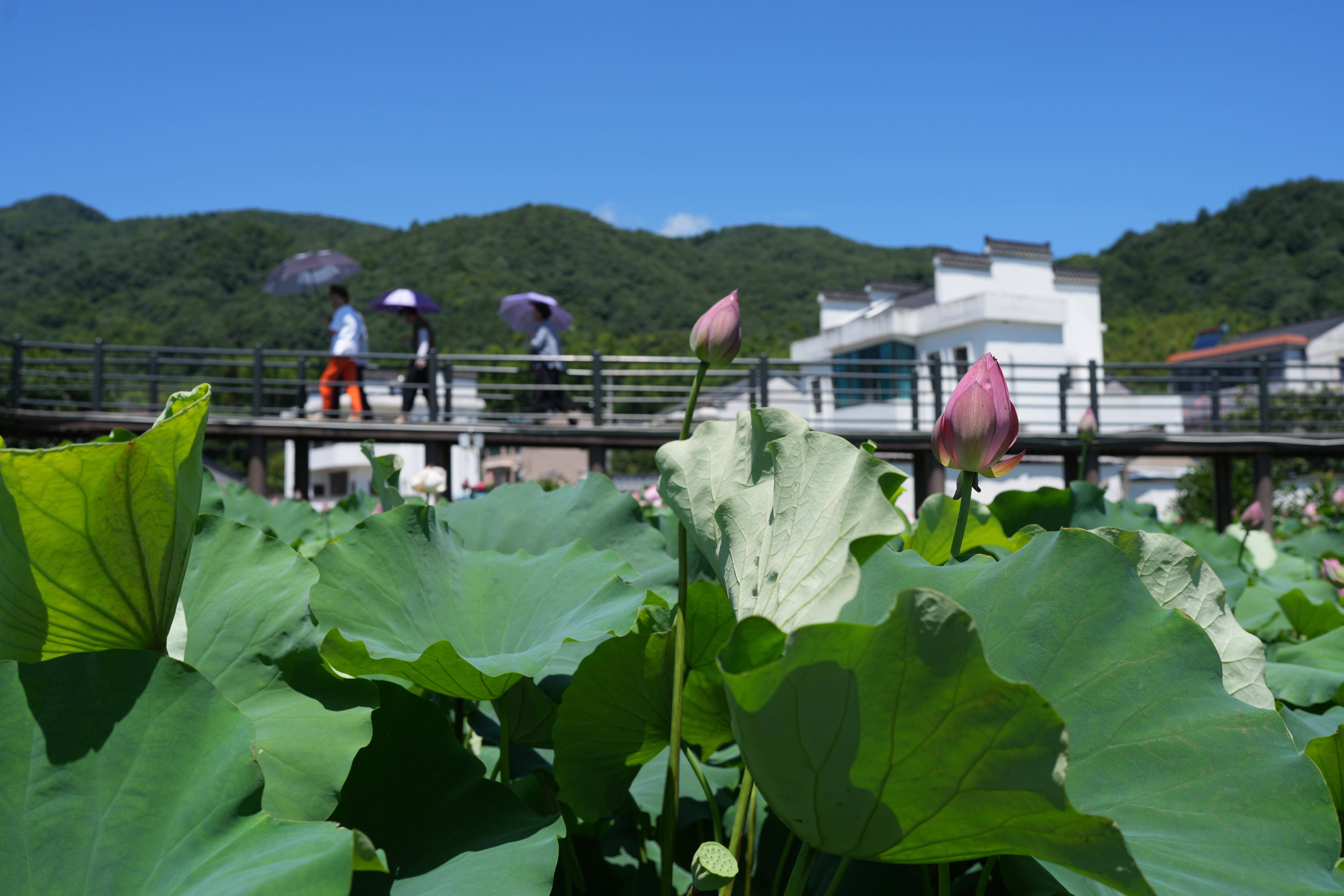 余姚旅游景点_余姚旅游景点大全河姆渡遗址