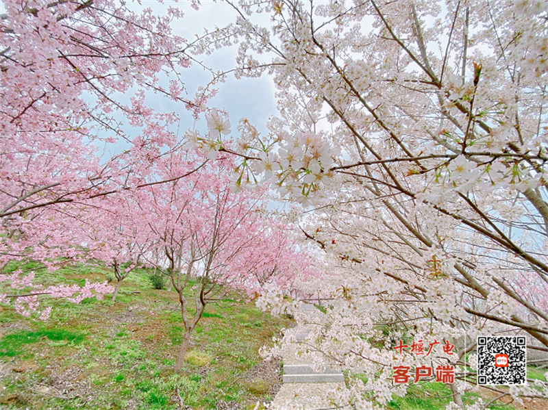 阳光旅游网_阳光旅游攻略必去景点