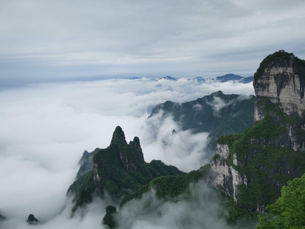 重庆金佛山旅游_重庆金佛山旅游公司