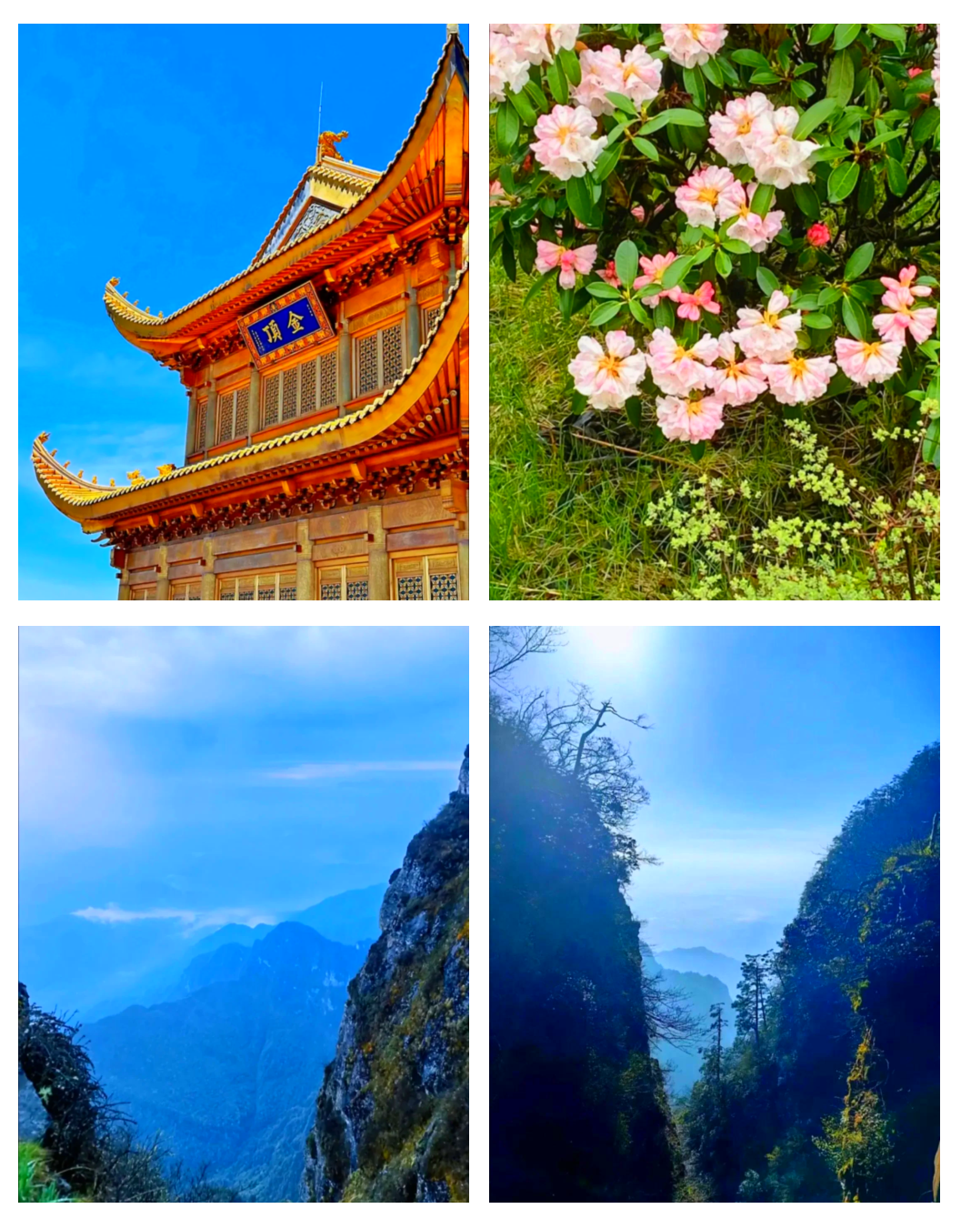 峨眉山旅游_峨眉山旅游股票