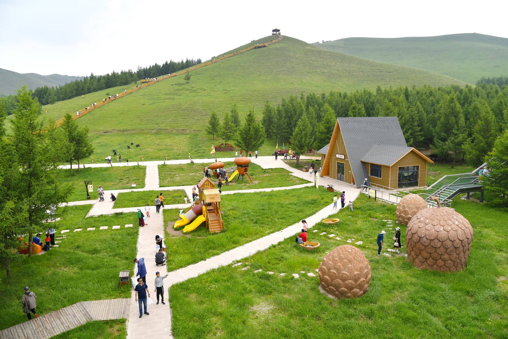 坝上草原旅游_坝上草原旅游景点大全排名