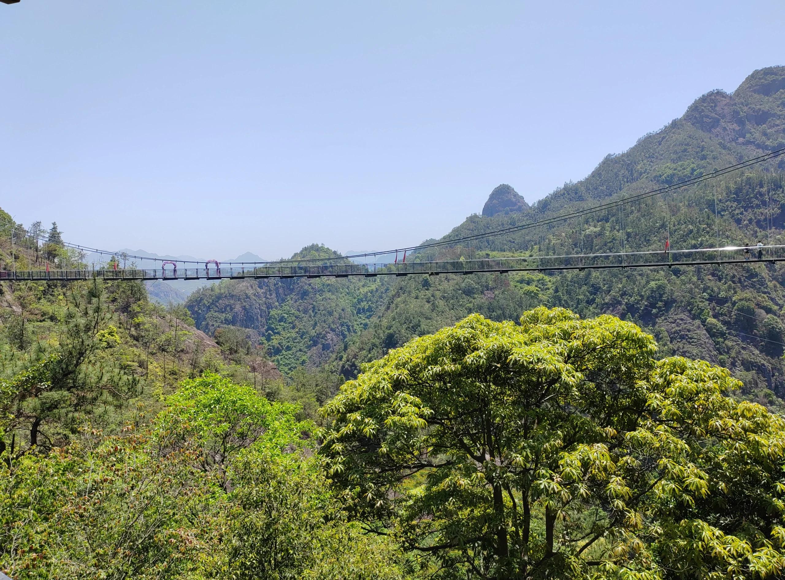 楠溪江旅游_楠溪江旅游数据统计图